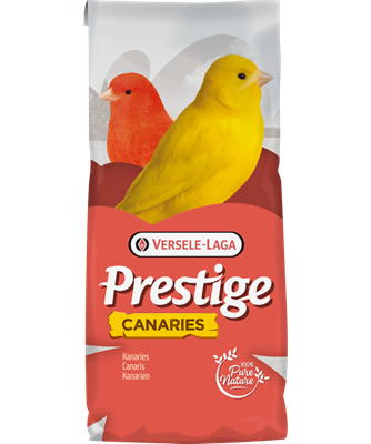 Canary Superior (20kg)