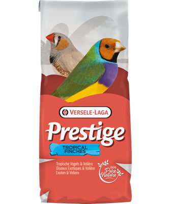 Tropical Finch (20kg)