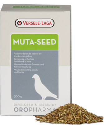 Muta Seed