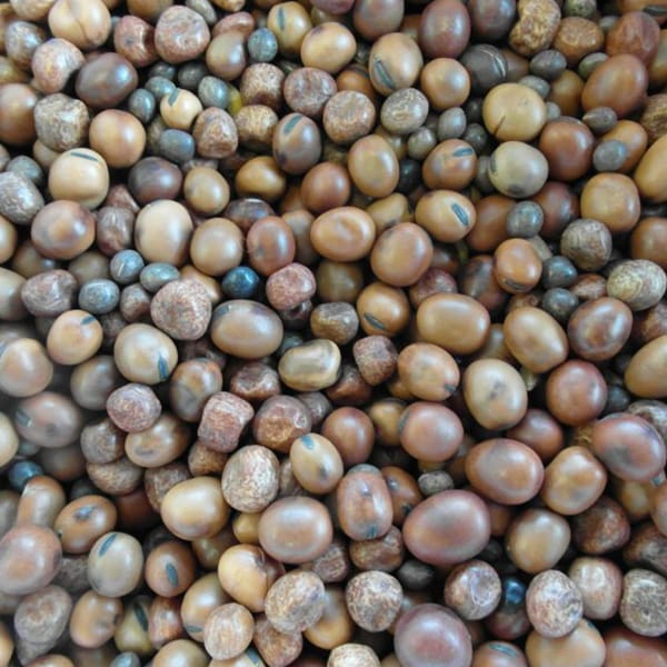 BJF No 1 Mix (25kg)