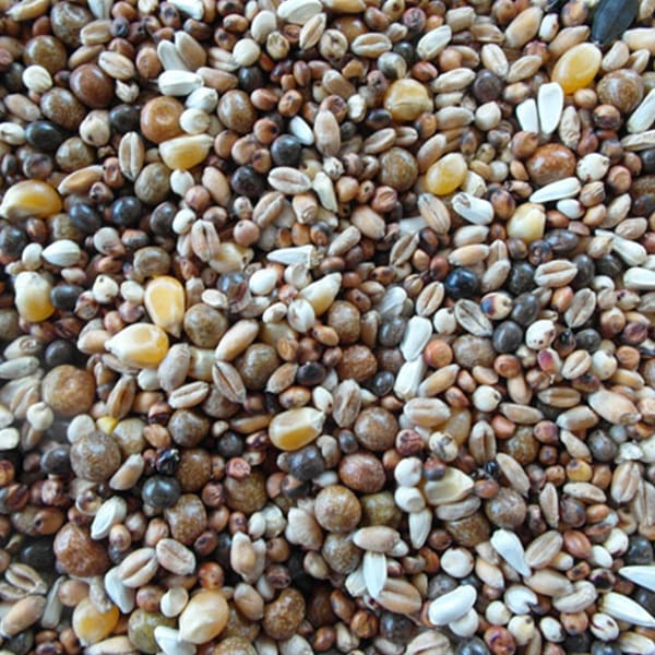 BJF VIP (25kg)