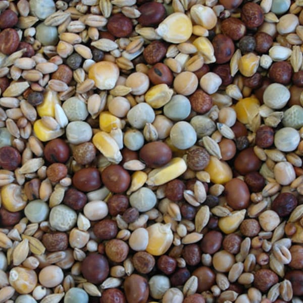 BJF Winter (25kg)