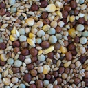 BJF Winter (25kg)
