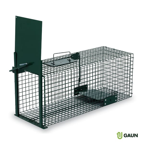 Trap Painted (1 door) Rabbit / Squirrel
