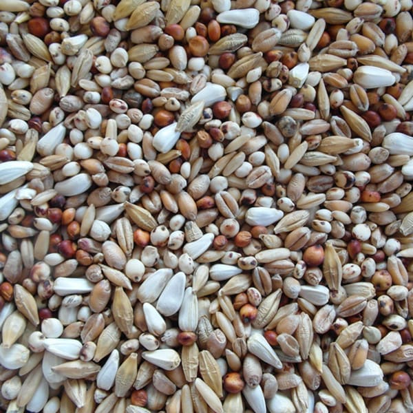 BJF Diet (25kg)