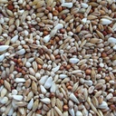BJF Diet (25kg)