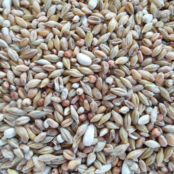 BJF Depurative (25kg)