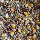 BJF HP Economy (25kg)