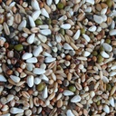 BJF Conditioner (25kg)
