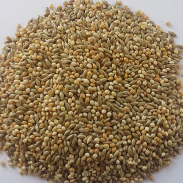 BJF Budgie 50/50 (20kg)