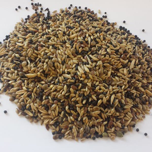 BJF European Finch NO Rape (20kg)