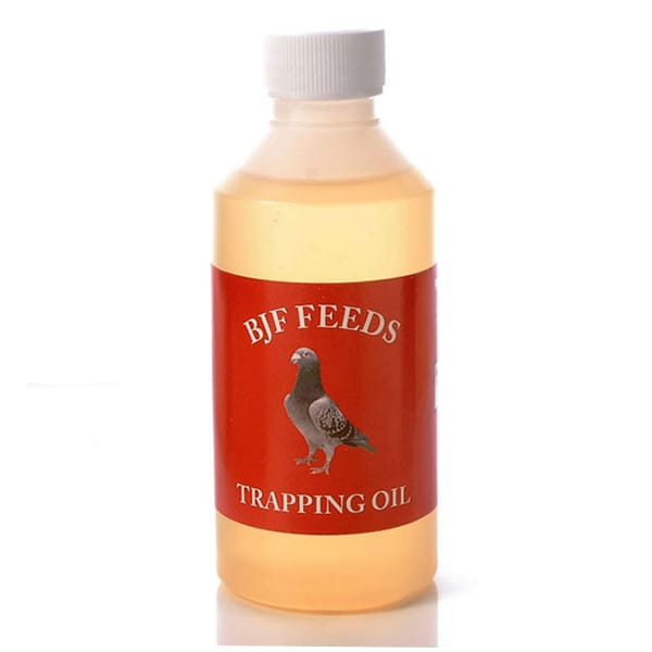 BJF Aniseed (500ml)