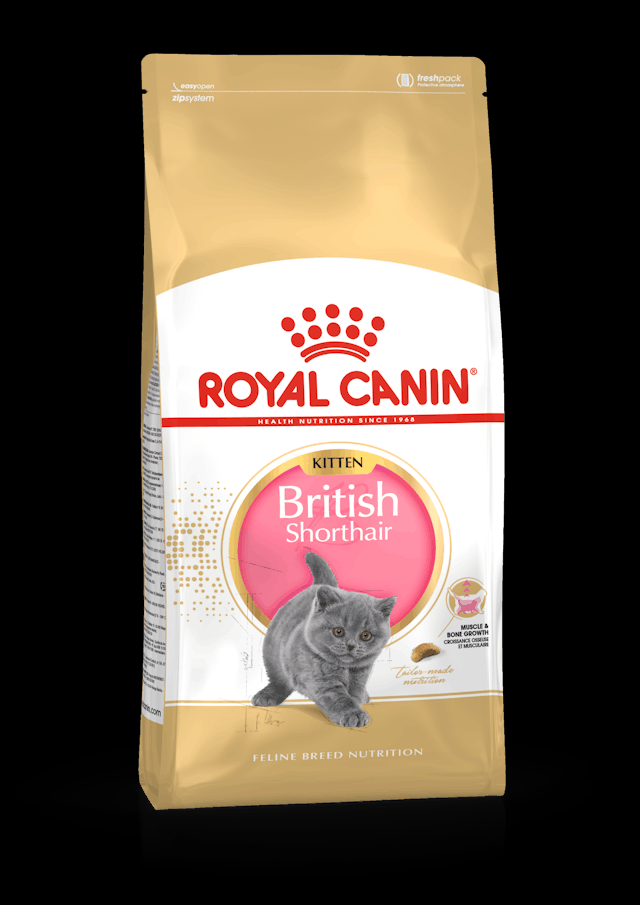 Royal Canin British Shorthair Kitten Dry Food -