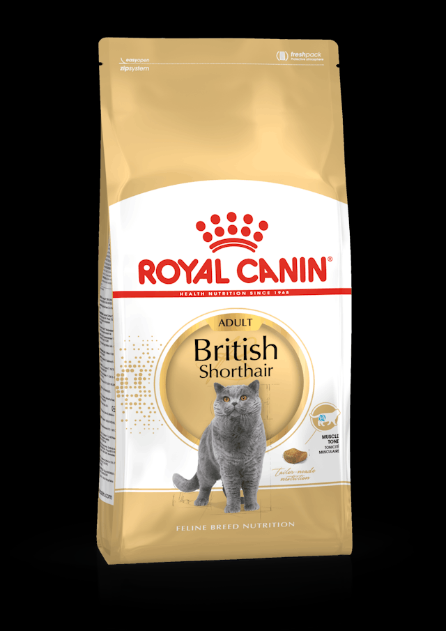 Royal Canin British Shorthair Cat Food - Adult