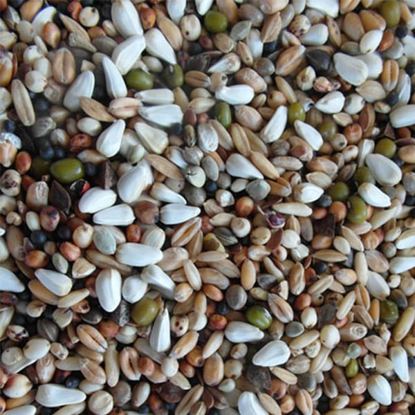 Aniseed Particle Mix (4kg)