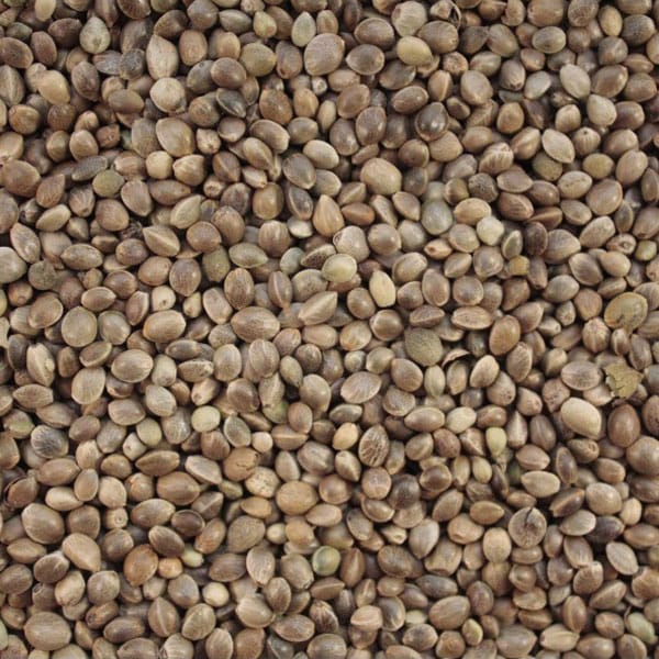 Hemp (4kg)