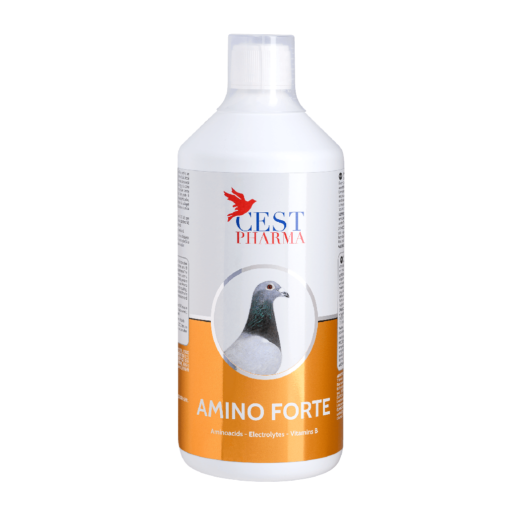 Amino Forte (1L)