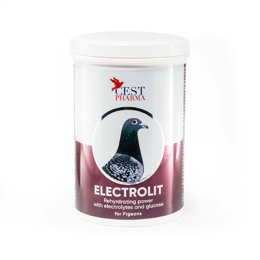 Electrolit (600g)
