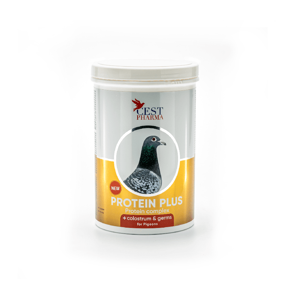 Protein Plus (600g)