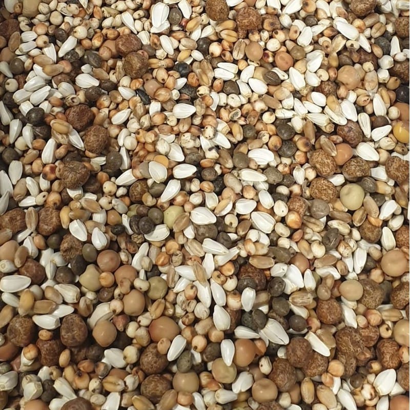 Breed & Wean (20kg)
