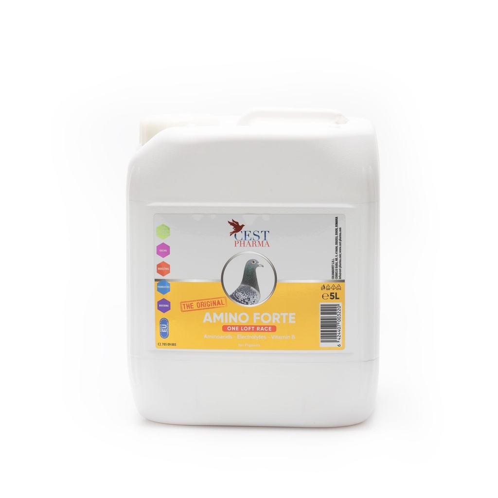Amino Forte (5L)