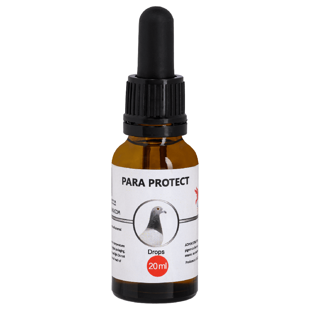Para Protect (20ml)