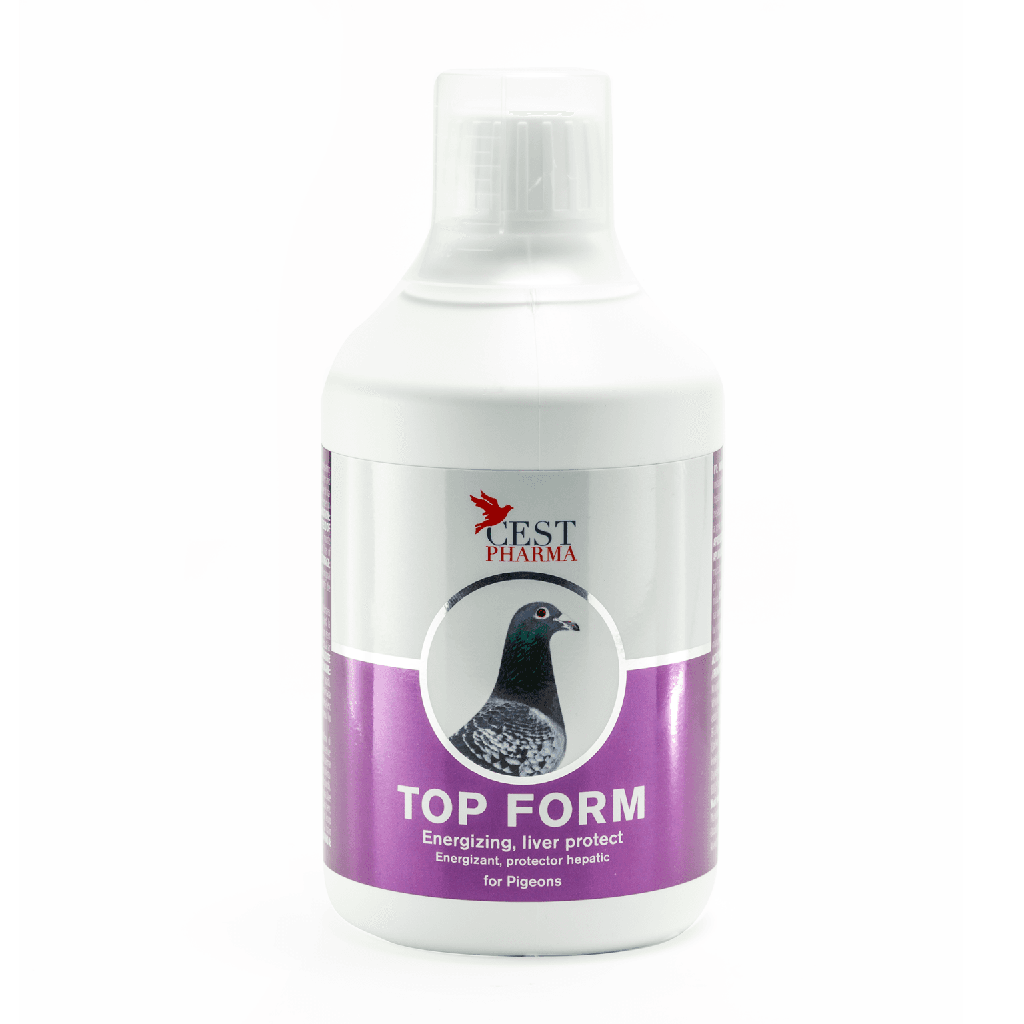Top Form (500ml)