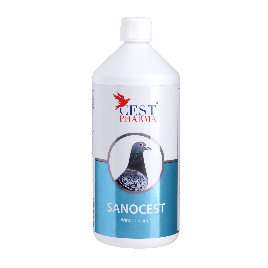 Sanocest (1L)