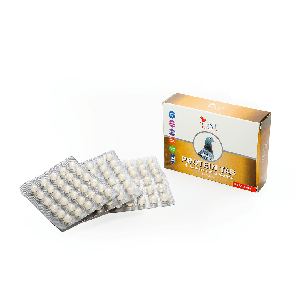 Protein (90 Tabs)
