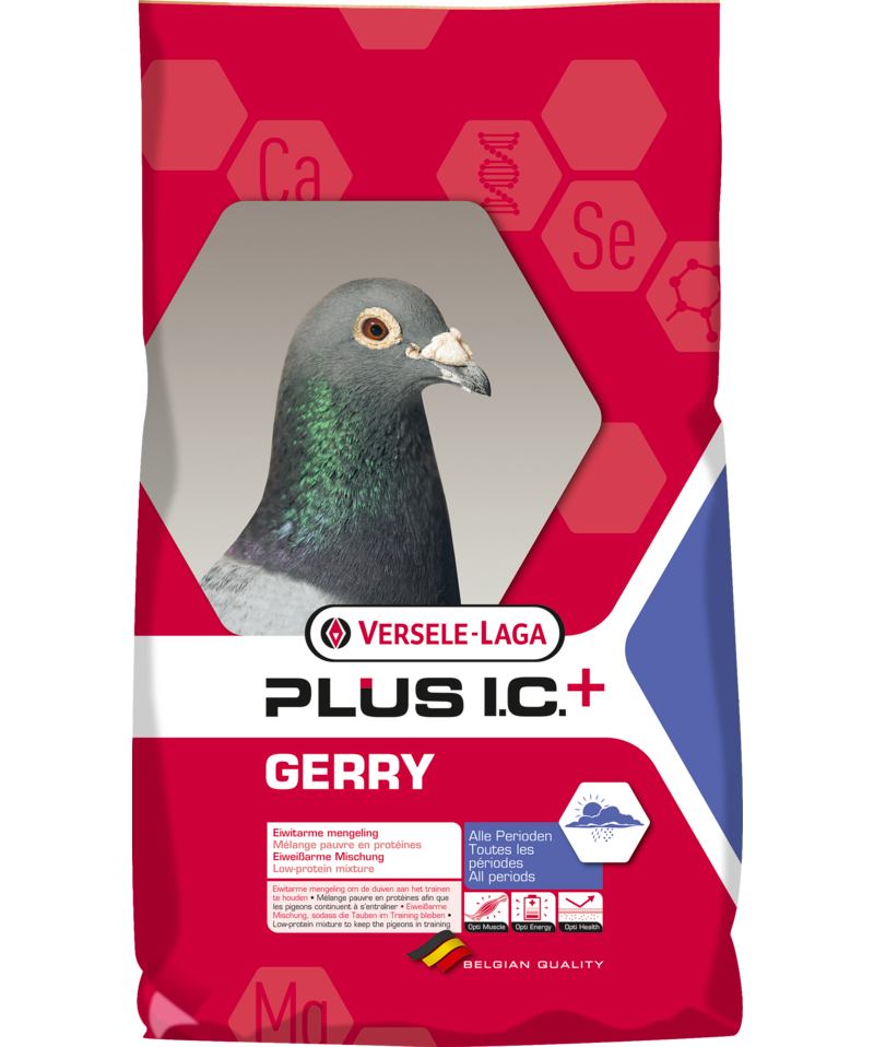 Versele Laga Gerry Plus I.C. + Racing Pigeon Feed