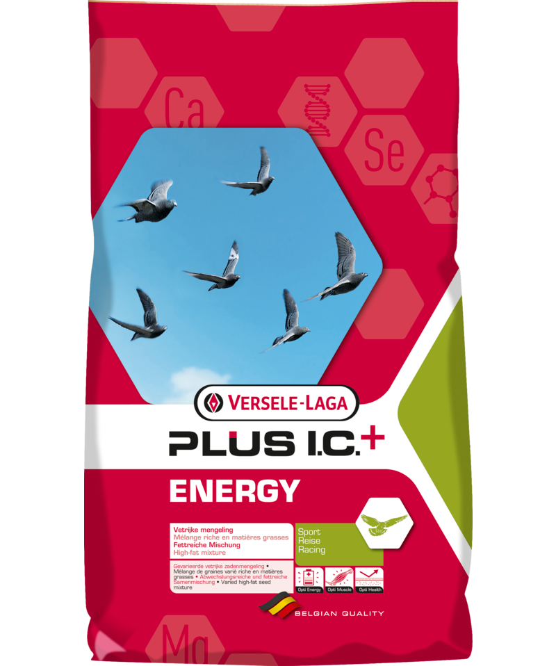 Versele Laga Energy Plus I.C. + Racing Pigeon Feed