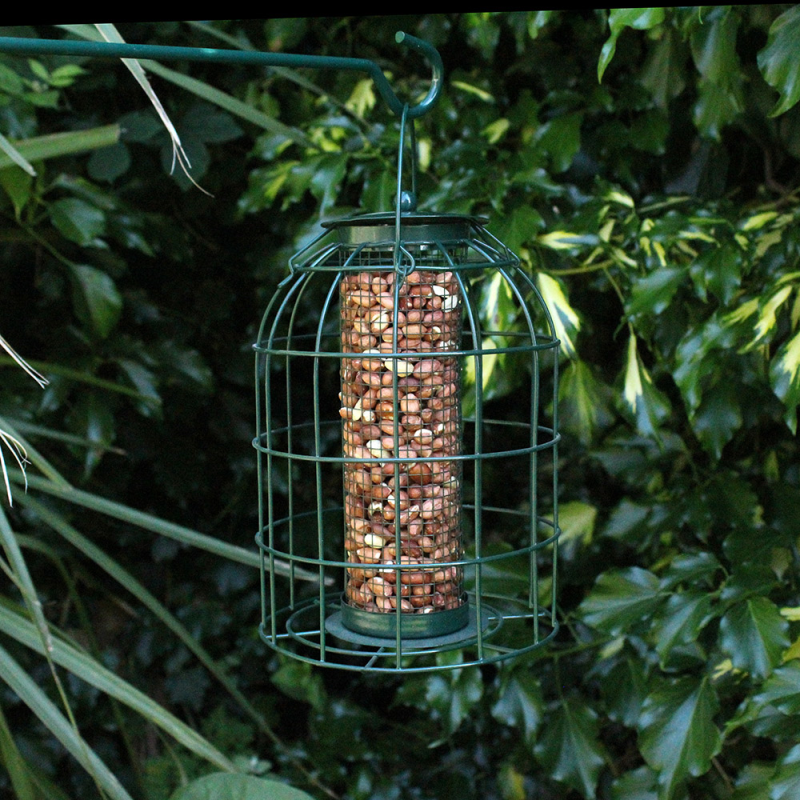 Nature' Market Nut Feeder - Wild Birds - With Squirrel Guard Green
