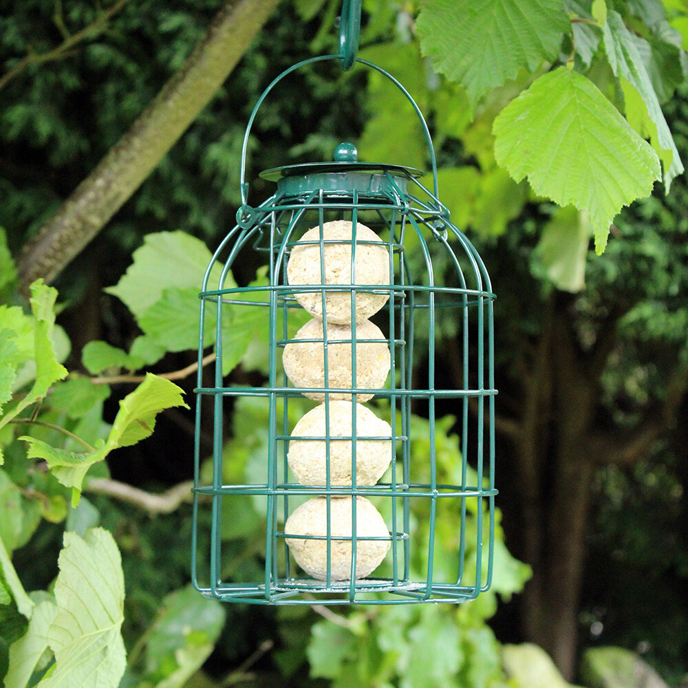 Nature' Market Suet Fat Ball Feeder - Wild Birds - With Squirrel Guard