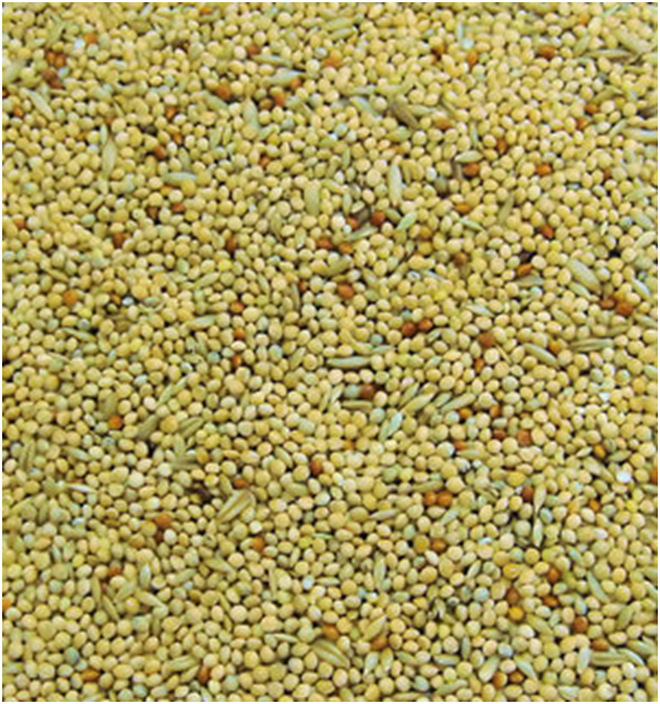 Colonels Bbb Budgie Seeds Feed Mix - Various Millets, Groats & Canary