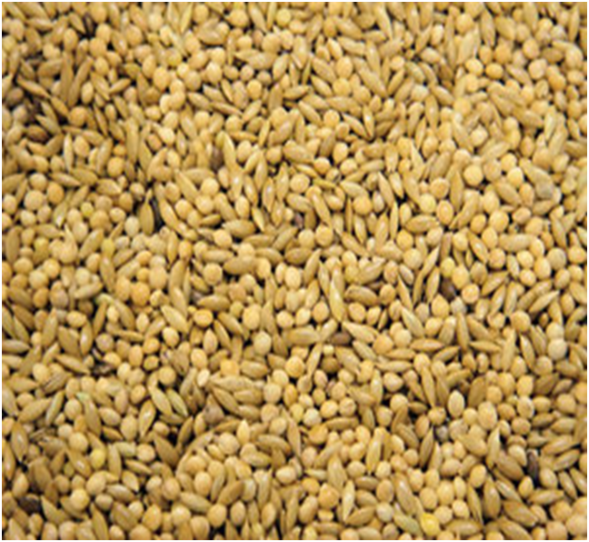 Colonels Budgie 50/50 Seeds Feed Mix - White Millets& Canary Seeds
