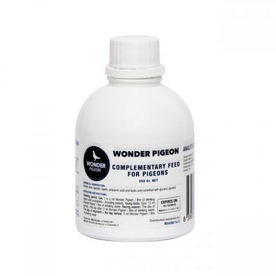 Harkers Wonder Pigeon -