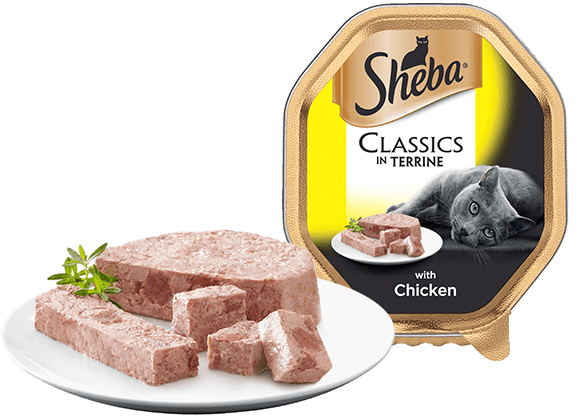 Sheba Classics In Terrine With Chicken 22 X