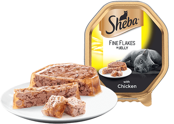 Sheba Fine Flakes With Chicken In Jelly 22 X