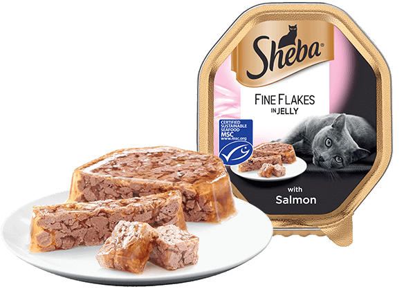 Sheba Fine Flakes With Salmon In Jelly 22 X
