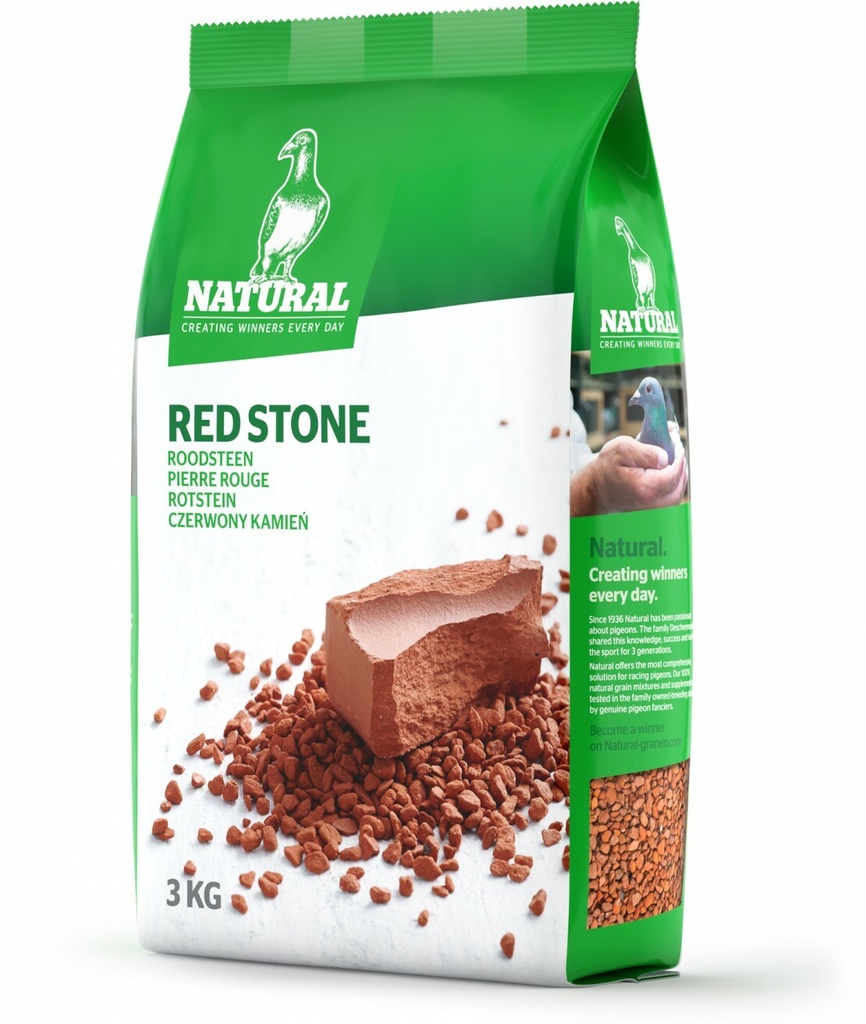 Natural Antwerp/ Granen Racing Pigeon Roodsteen Or Red Stone
