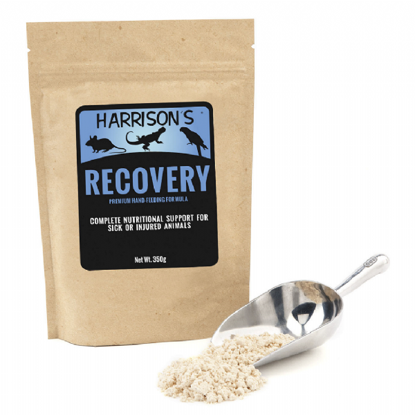 Harrison' Bird Food Recovery Formula Sick, Injured Animal Birds ( )