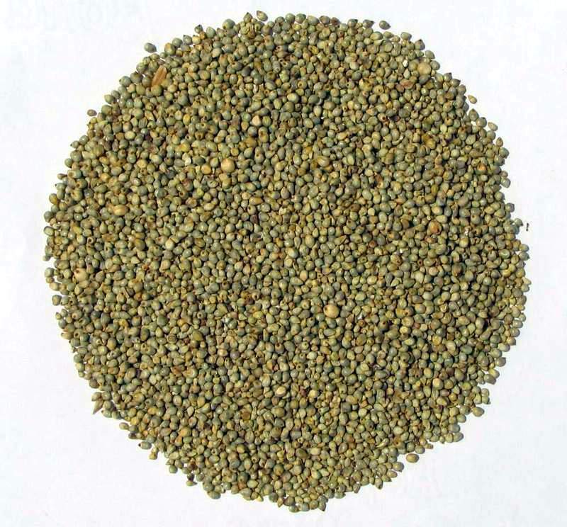 Whole Bajra Seeds