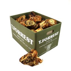 T. Forrest Roast Knuckle Bone