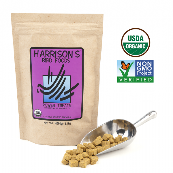 Harrison' Bird Food Power Treats Added Organic Palm Fruit Oil ( )