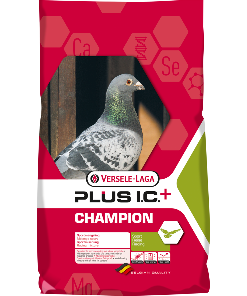 Versele Laga Champion Plus I.C. + Racing Pigeon Feed
