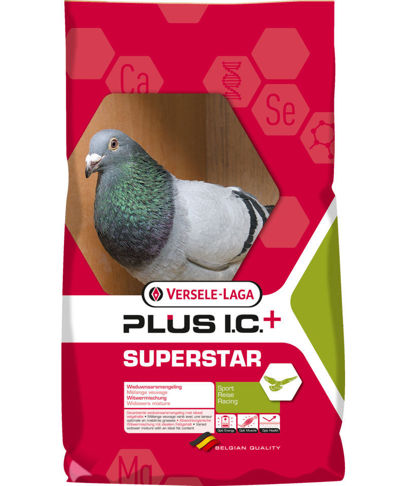 Versele Laga Superstar Plus I.C. + Racing Pigeon Feed