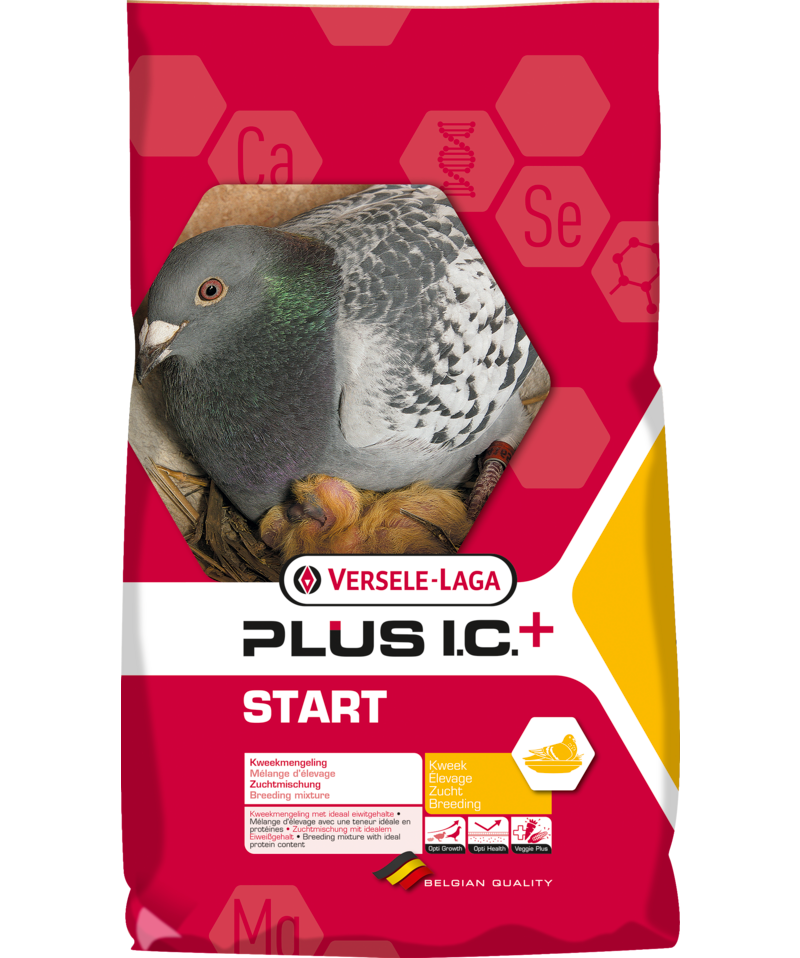 Versele Laga Start Plus I.C. + (Breeding) Racing Pigeon Feed
