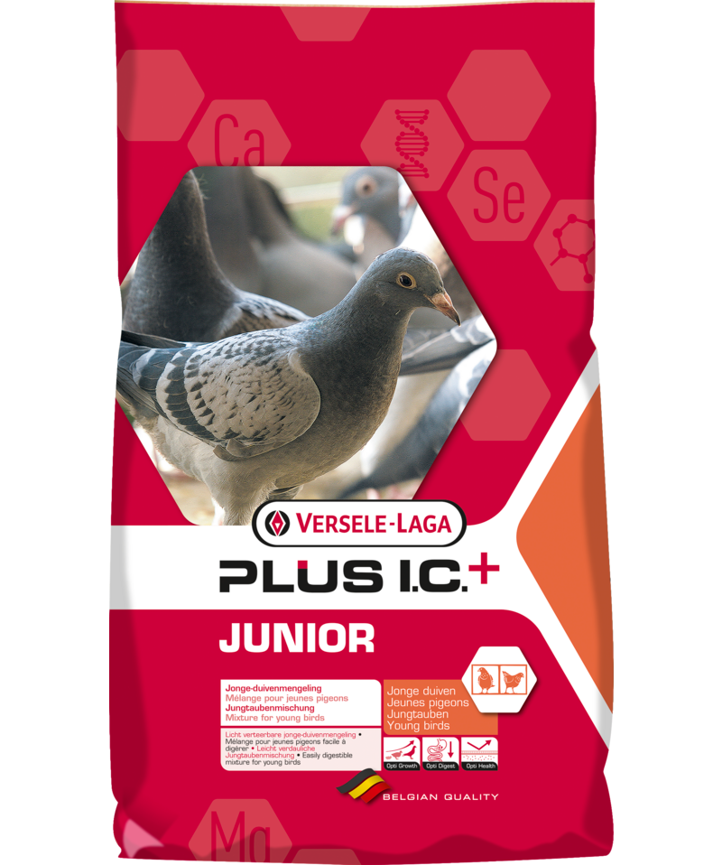 Versele Laga Junior Plus I.C. + Racing Pigeon Feed