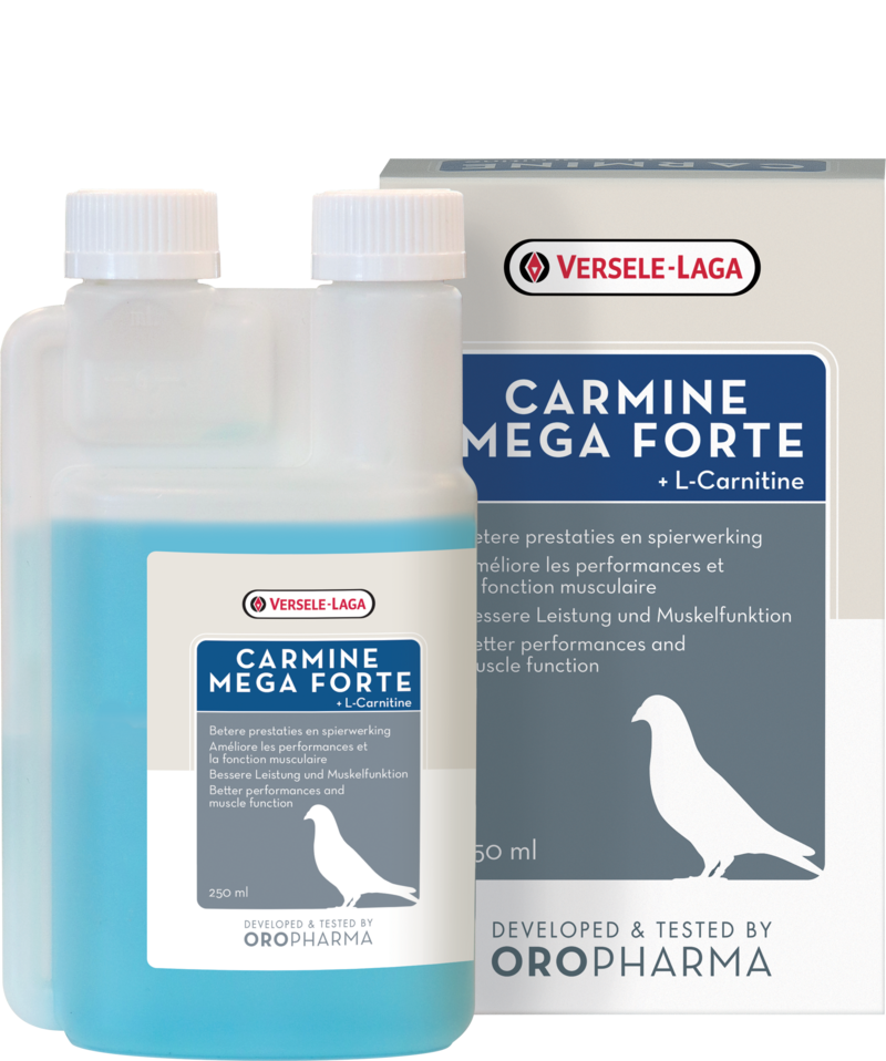 Versele Laga Oropharma Carmine Mega Fort+ -Carnitine (Vitamins B6 & B12)