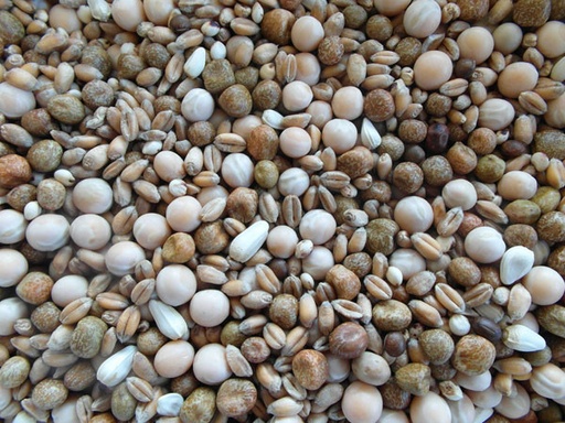 [BJF020] Bjf Breeding Liege Pigeon Seed Mix